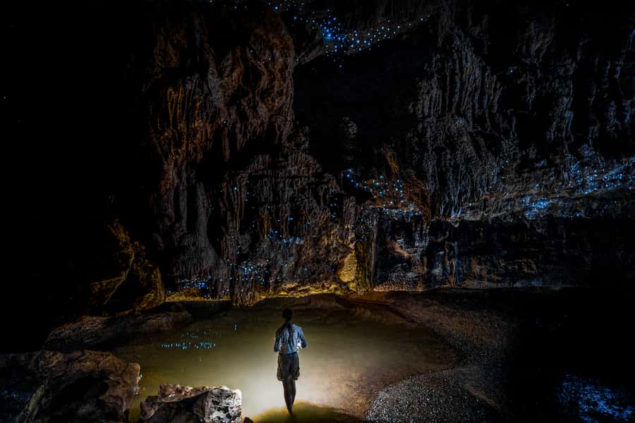 From Auckland or Rotorua: Hobbiton & Waitomo Tour with Lunch - Why this day trip works