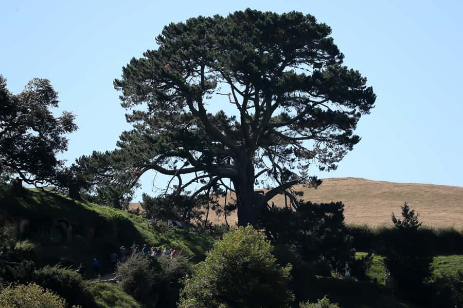 From Auckland or Rotorua: Hobbiton & Waitomo Tour with Lunch - What the vehicle and guide add