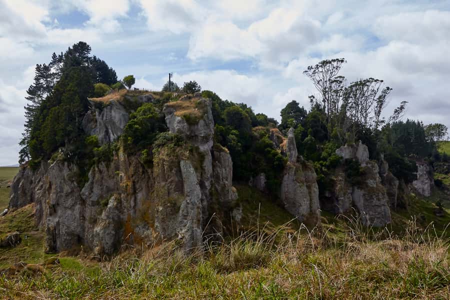 From Auckland or Rotorua: Hobbiton & Waitomo Tour with Lunch - Who should book this tour?