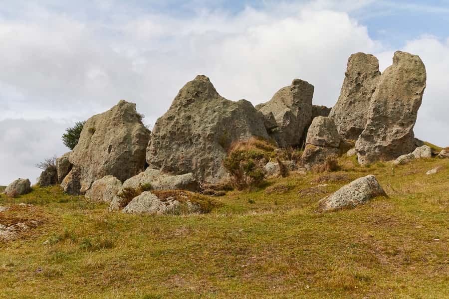 From Auckland or Rotorua: Hobbiton & Waitomo Tour with Lunch - Should you book it?