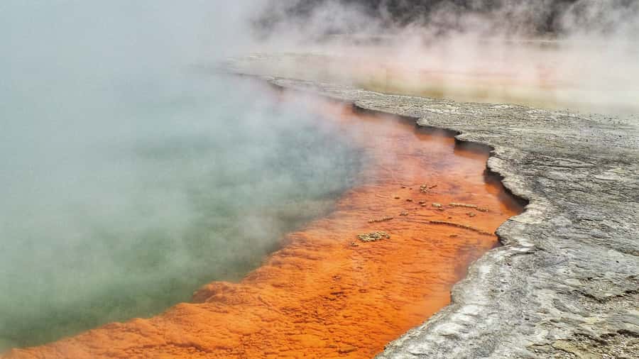 From Auckland: Two-Day Hobbiton, Rotorua, Waitomo Caves Tour - What the $806 price really covers