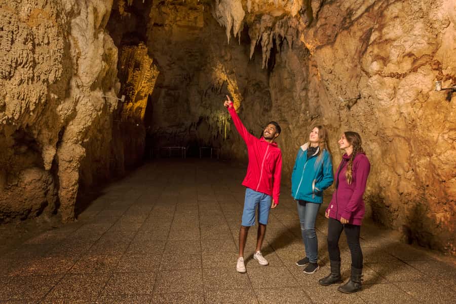 From Auckland: Waitomo & Hobbiton Bus Tour with Lunch - Should you book the Waitomo and Hobbiton day trip?