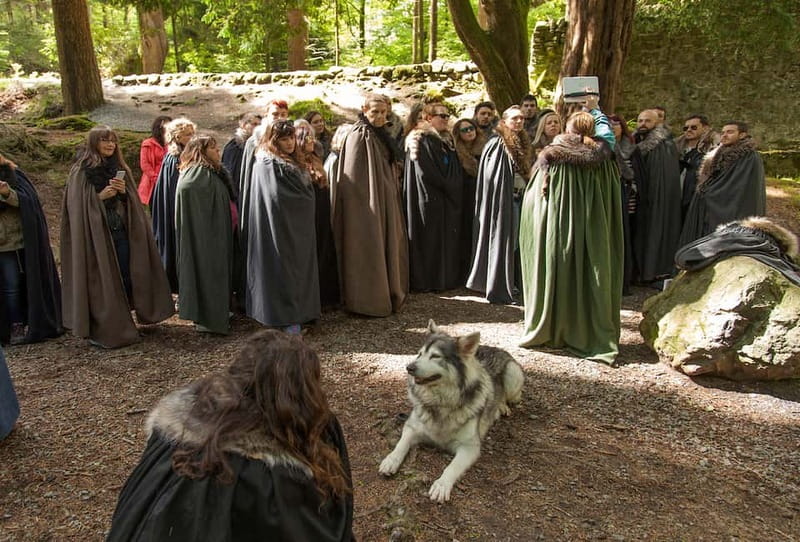 From Belfast: Game of Thrones Winterfell Locations Tour - Lunch at The Barn Bar & Country Kitchen