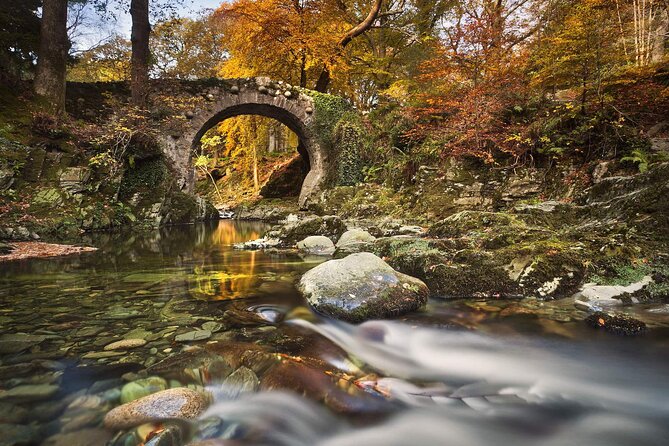 From Belfast: Game of Thrones Winterfell Locations Trek - Tollymore Forest and the White Walker Trail
