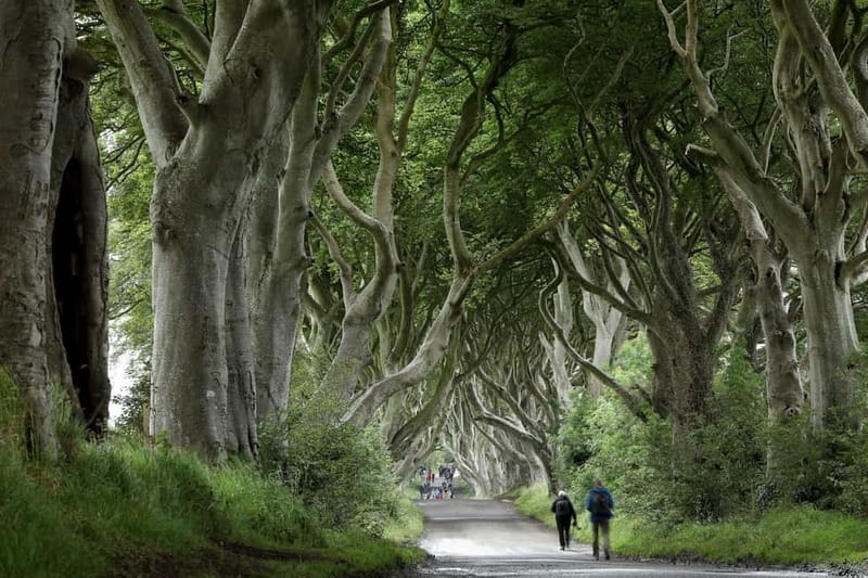 From Belfast: Giant's Causeway and Game of Thrones Tour - Bushmills whiskey and the 1608 connection