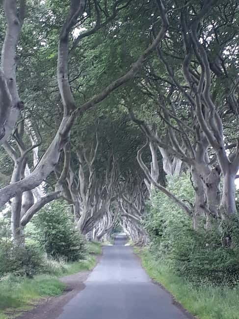From Belfast: The Giant's Causeway & Game of Thrones Tour - Key points to know before booking