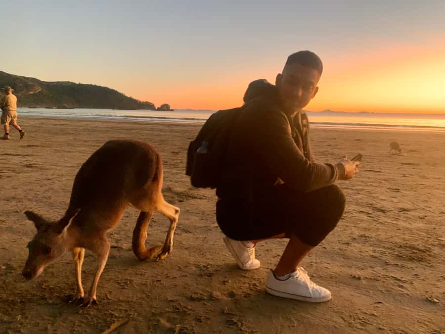 From Mackay: Wallabies on the Beach Sunrise Trip - The ride from Mackay and what the early start means