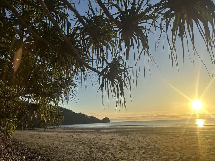 From Mackay: Wallabies on the Beach Sunrise Trip - Indigenous stories and the didgeridoo demonstration