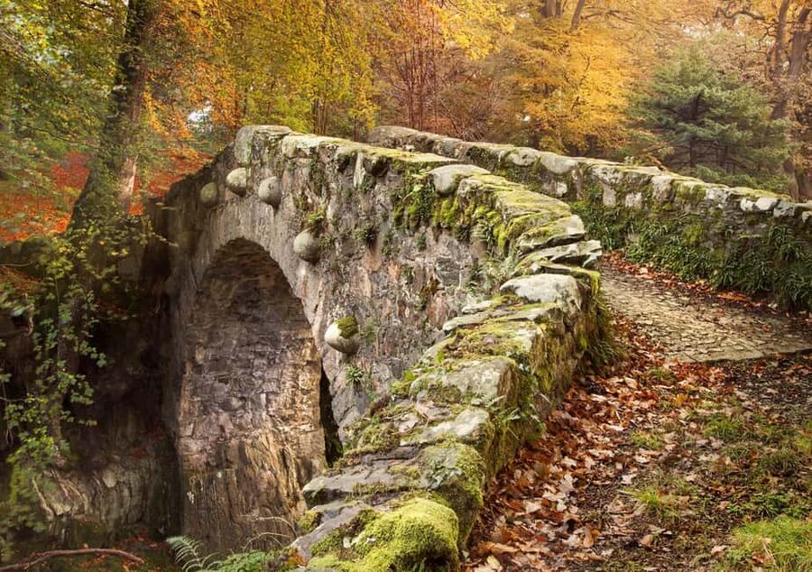 From Newcastle: Game of Thrones Tollymore Forest Trek - The direwolf bridge and the Stark cloaks