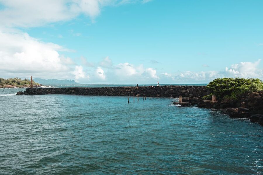 From Oahu: Kauai Highlights & Movie Sites - Opaeka‘a Falls starts the Kauai sightseeing