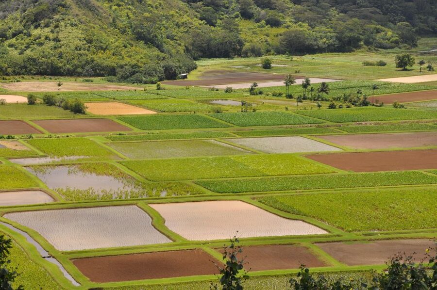 From Oahu: Kauai Highlights & Movie Sites - Movie sites work best as an extra, not the main reason
