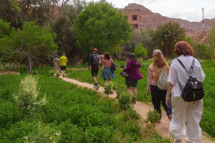 From Ouarzazate: Aït Benhaddu, Fint Oasis & Film Studio Trip - A Moroccan lunch near the ksar