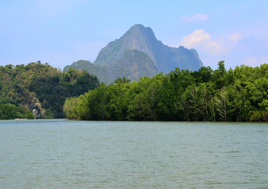 From Phuket : James Bond Island Tour with Cave Canoeing - Why Phang Nga Bay makes a strong day trip from Phuket