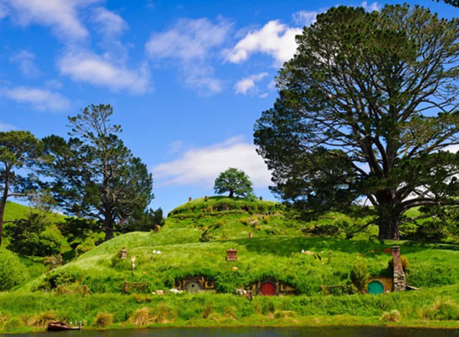 From Rotorua: Hobbiton Movie Set Tour with Festive Lunch - From Rotorua to the hills of the Shire