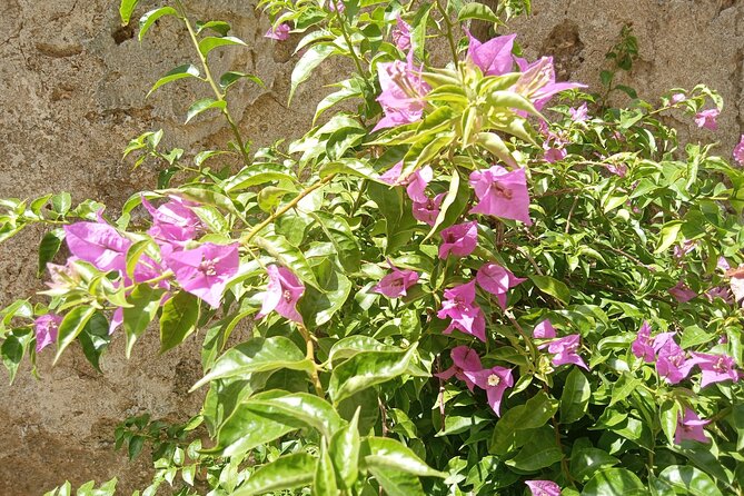 From Taormina Godfather Private Tour Forza D'Agrò and Savoca - Key points to know