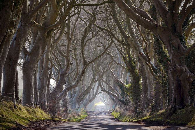 Full-day private tour from Game of Thrones Odyssey - The Giant’s Causeway earns its 90 minutes