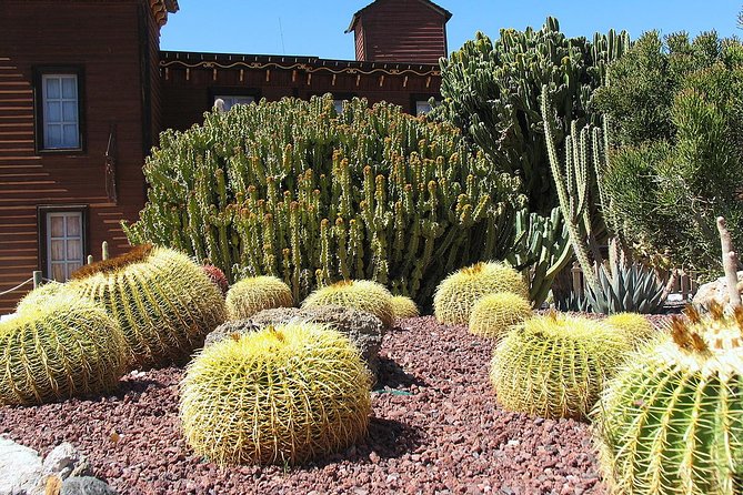 Full-Day Western Theme Park Tour of Mini Hollywood - Oasys - Eating and taking in the desert views