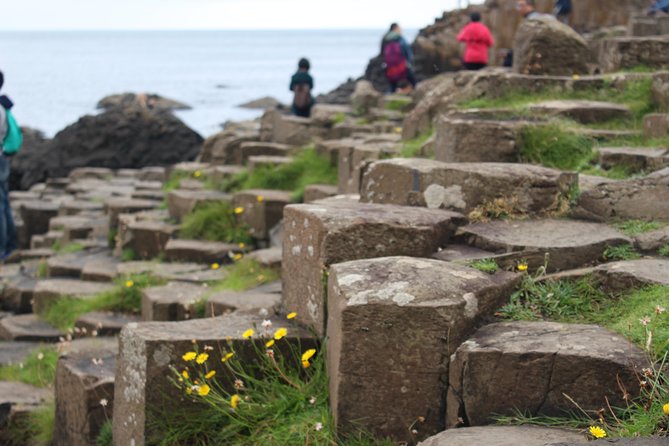 Game of Thrones and Giant's Causeway Day Tour from Belfast - The Dark Hedges and Arya’s escape