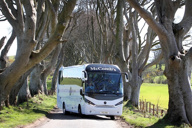 Game of Thrones and Giant's Causeway Full-Day Tour from Belfast - The Dark Hedges is atmospheric, but reality is less polished