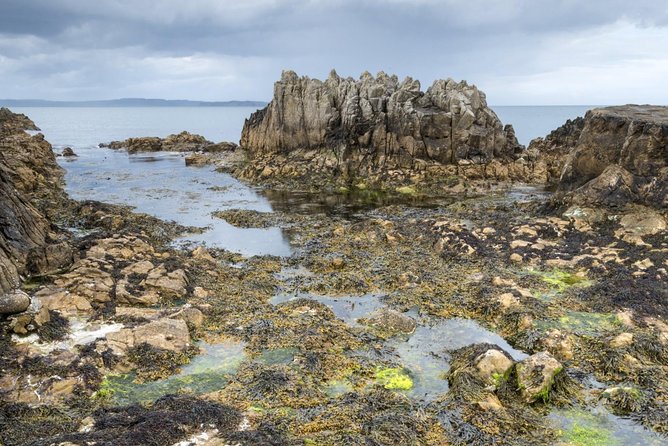 Game of Thrones and Giant's Causeway Full-Day Tour from Belfast - Portaneevy gives you the rope bridge view