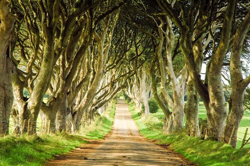 Game of Thrones & Giant's Causeway: Guided Tour from Belfast - How much Game of Thrones is actually included?
