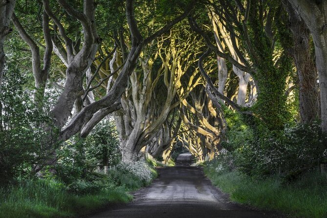 Game of Thrones - Private Audi A6 tour with Richard the Wildling - Richard the Wildling brings the set to life