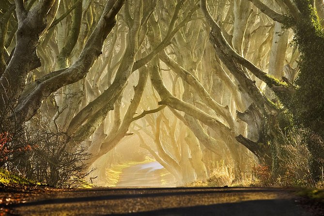 Game of Thrones - Private Audi A6 tour with Richard the Wildling - Practical details before you reserve