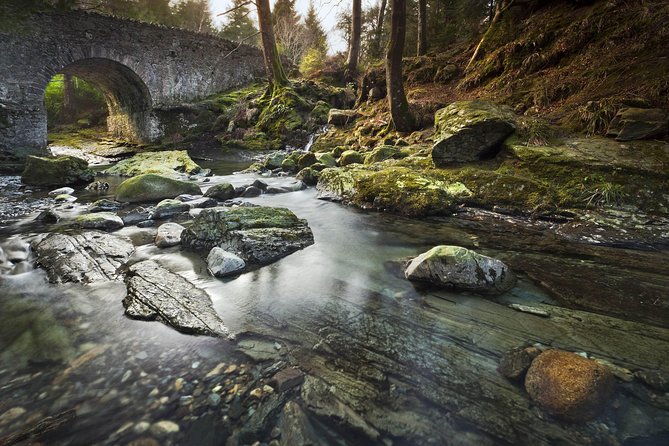 Game of Thrones - Tollymore Forest Trek - Who should book this forest trek