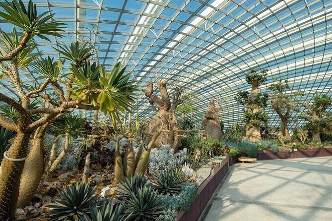 Gardens by the Bay E - Ticket with Flower Dome +CF Singapore - How to plan a two-hour visit