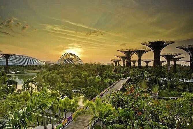 Gardens by the Bay E - Ticket with Flower Dome +CF Singapore - Who should book this Gardens by the Bay ticket?