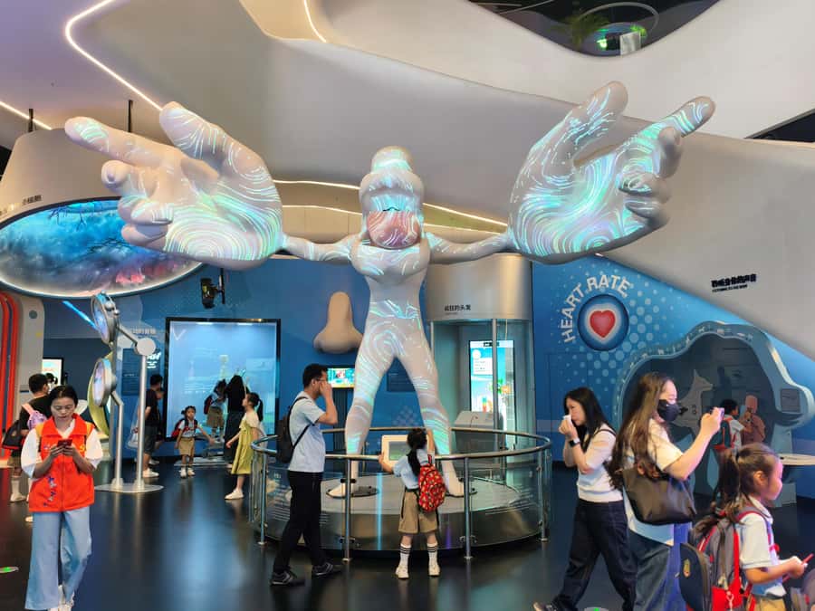 Gen-Z Private Tour: Shenzhen Tech Marvels - The robotics showroom is built for hands-on curiosity
