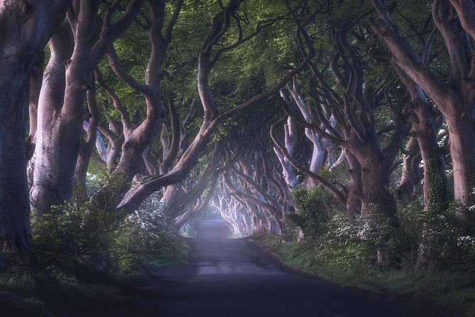 Giants Causeway & Game of Thrones Tour from Belfast - Larrybane Quarry and Brienne’s Duel