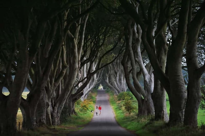 Giants causeway Irish castles & whiskey, Game of thrones - Bushmills Distillery and the whiskey stop