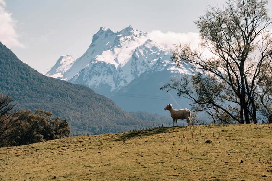 Glenorchy: 4WD Lord Of the Rings Half-Day Tour - Weather, clothing, and practical comfort