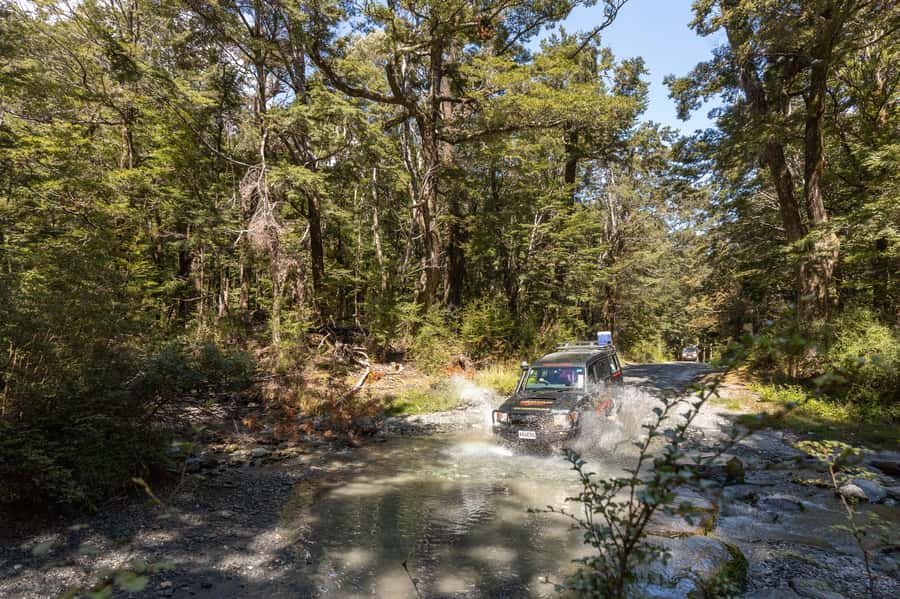 Glenorchy: 4WD Lord Of the Rings Half-Day Tour - Paradise Valley and the Forest of Lothlórien