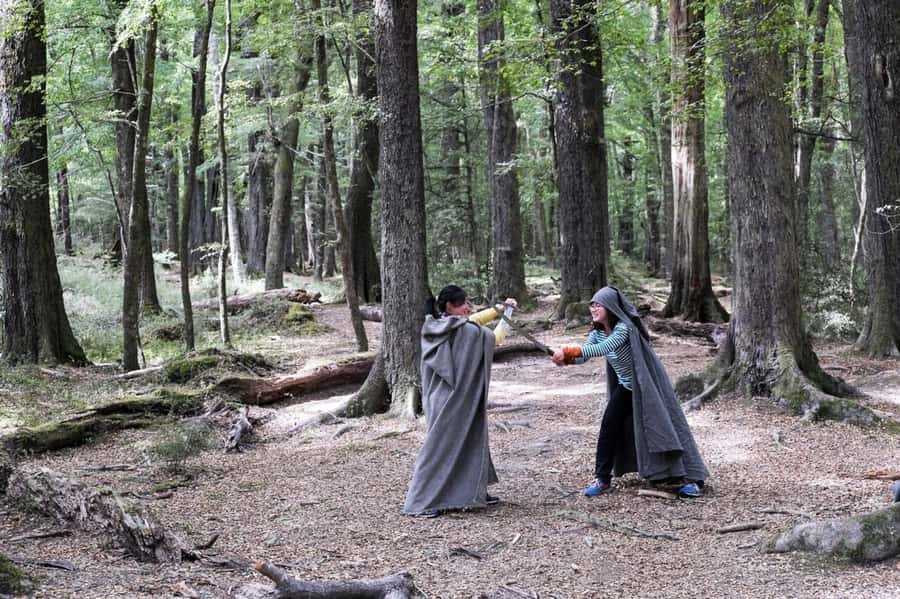 Glenorchy: 4WD Lord Of the Rings Half-Day Tour - What the guide adds to the day