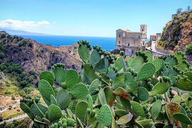 Godfather tour + possibility Sicilian food & house wine tasting - The food option and Sicilian wine