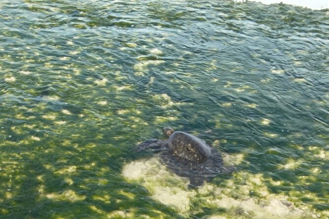 Half Day Deluxe Island Movie Tour: LOST, Jurassic, Pirates - Who will enjoy this private Oahu movie tour