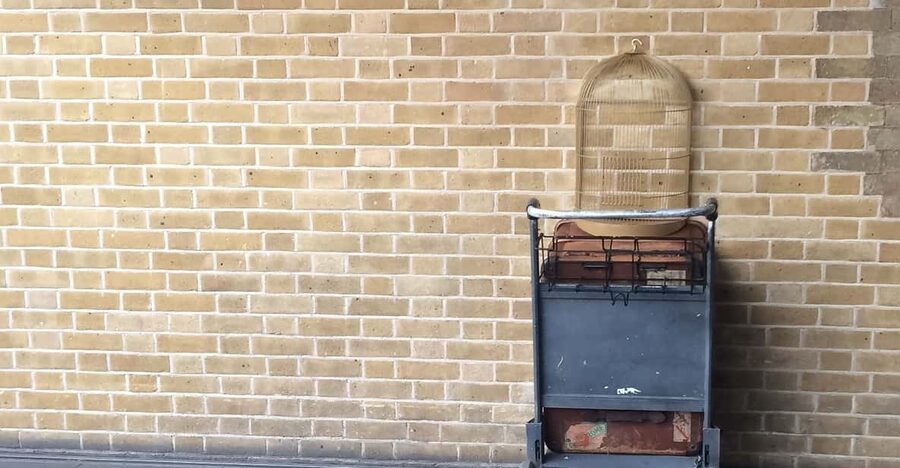 Harry Potter Private Tour of London in Spanish - Rain, timing, and what to bring