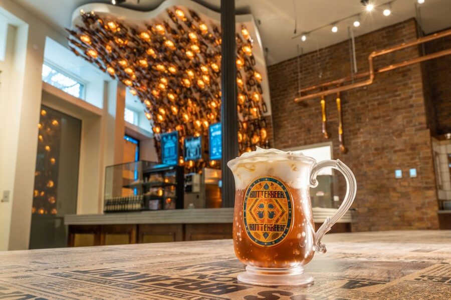 Harry Potter Shop New York: Magical Experiences - Who Will Enjoy It Most