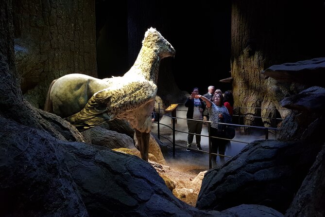 Harry Potter Studio Tickets and London Film Locations Guided Tour - The booking risks you should understand