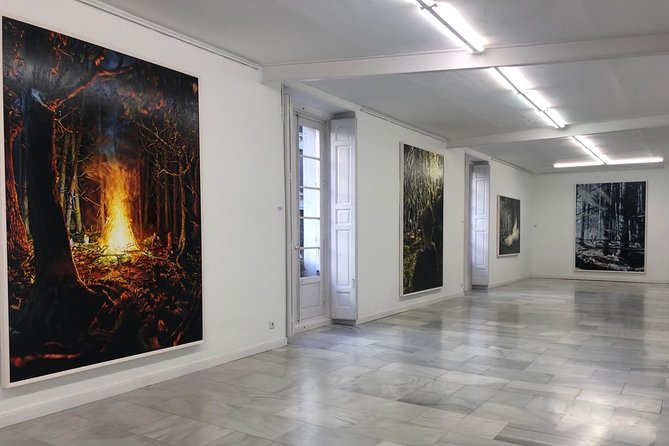 Hidden Art Galleries and Artist's Studio in Madrid - Key points at a glance