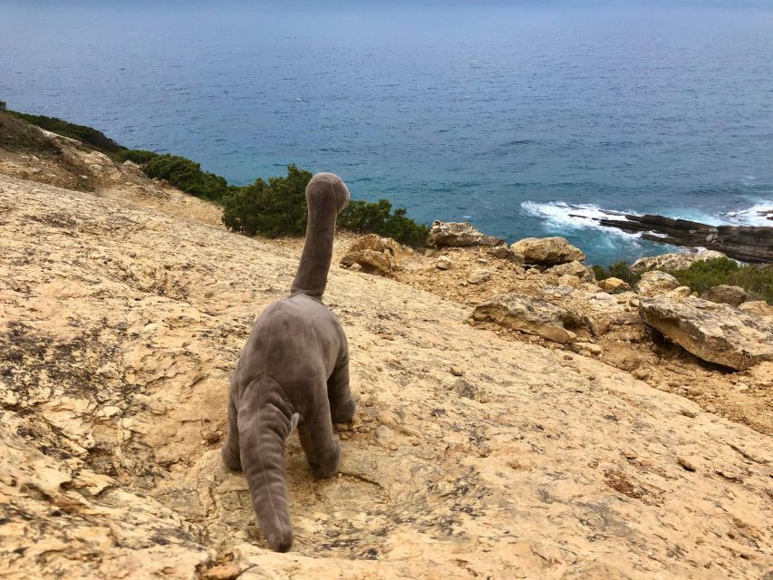 HIKING around Lisbon: Jurassic Dinosaur Trails of Espichel - Key points to know before you go