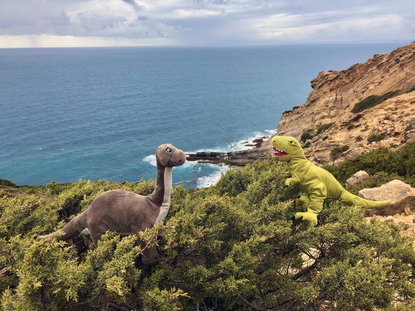 HIKING around Lisbon: Jurassic Dinosaur Trails of Espichel - The guide is a major part of the experience