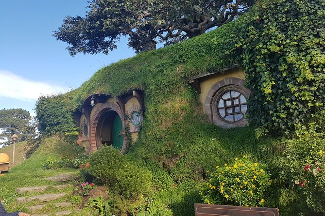 Hobbiton Afternoon Tour in Luxury Minibus from Auckland - Why the late departure works well from Auckland