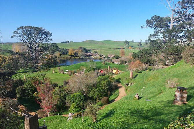 Hobbiton Afternoon Tour in Luxury Minibus from Auckland - Crossing the Waikato countryside