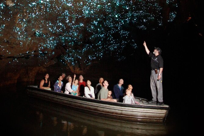 Hobbiton and Waitomo Caves Small Tour from Auckland - The drive toward Matamata and Hobbiton