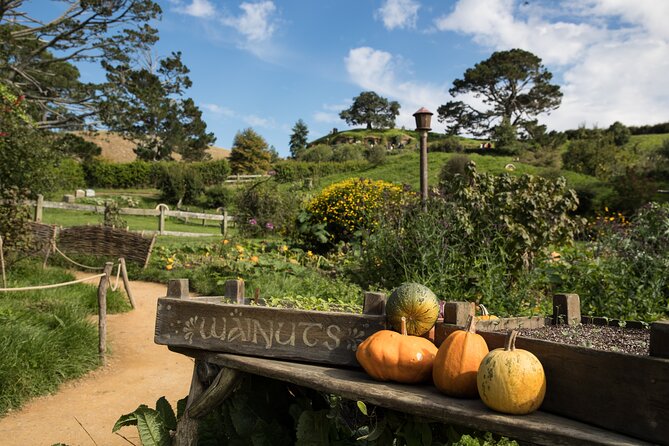Hobbiton Day Tour from Rotorua with lunch at Hobbiton - Who will get the most from this day trip?