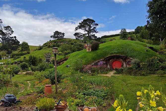 Hobbiton Movie Set Guided Day Tour with Lunch from Auckland - What the $204.79 price covers