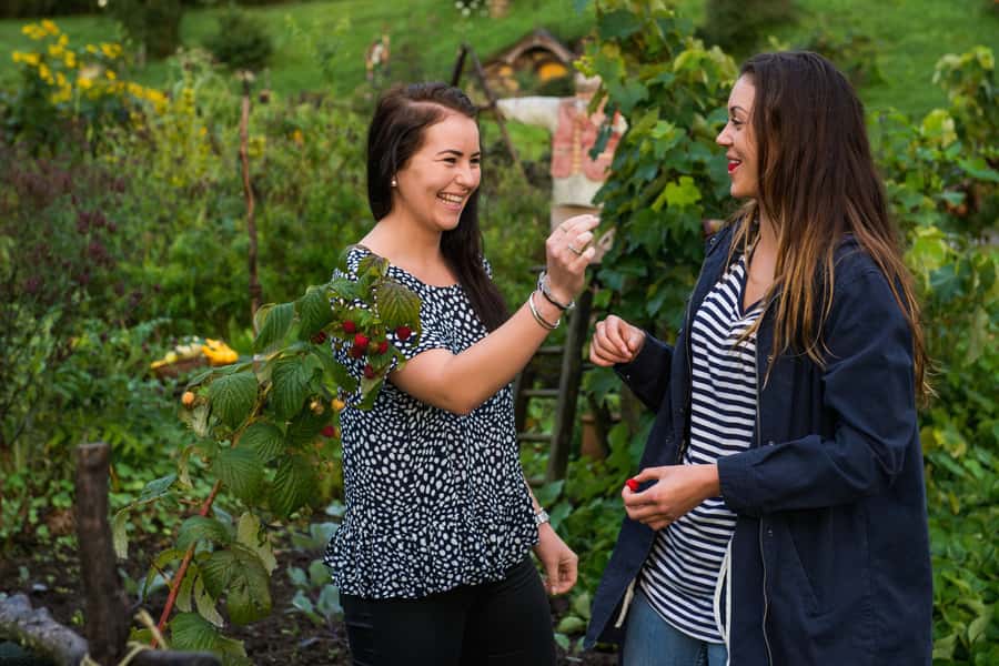 Hobbiton Movie Set & Rotorua Premium Day Tour from Auckland - Kiwi birds, carving, and a closer look at Maori culture